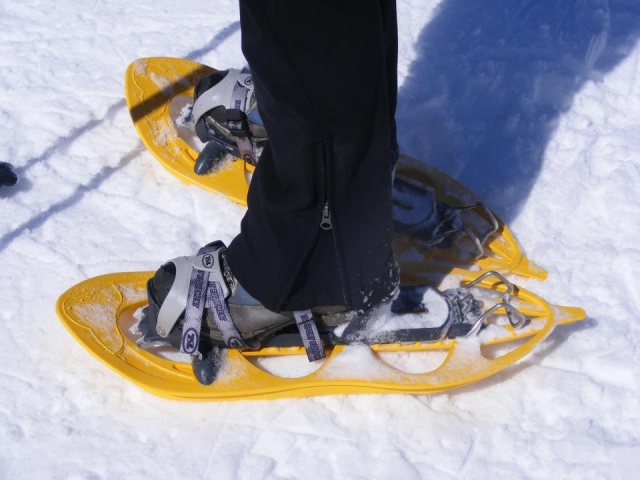 Raquetas de nieve